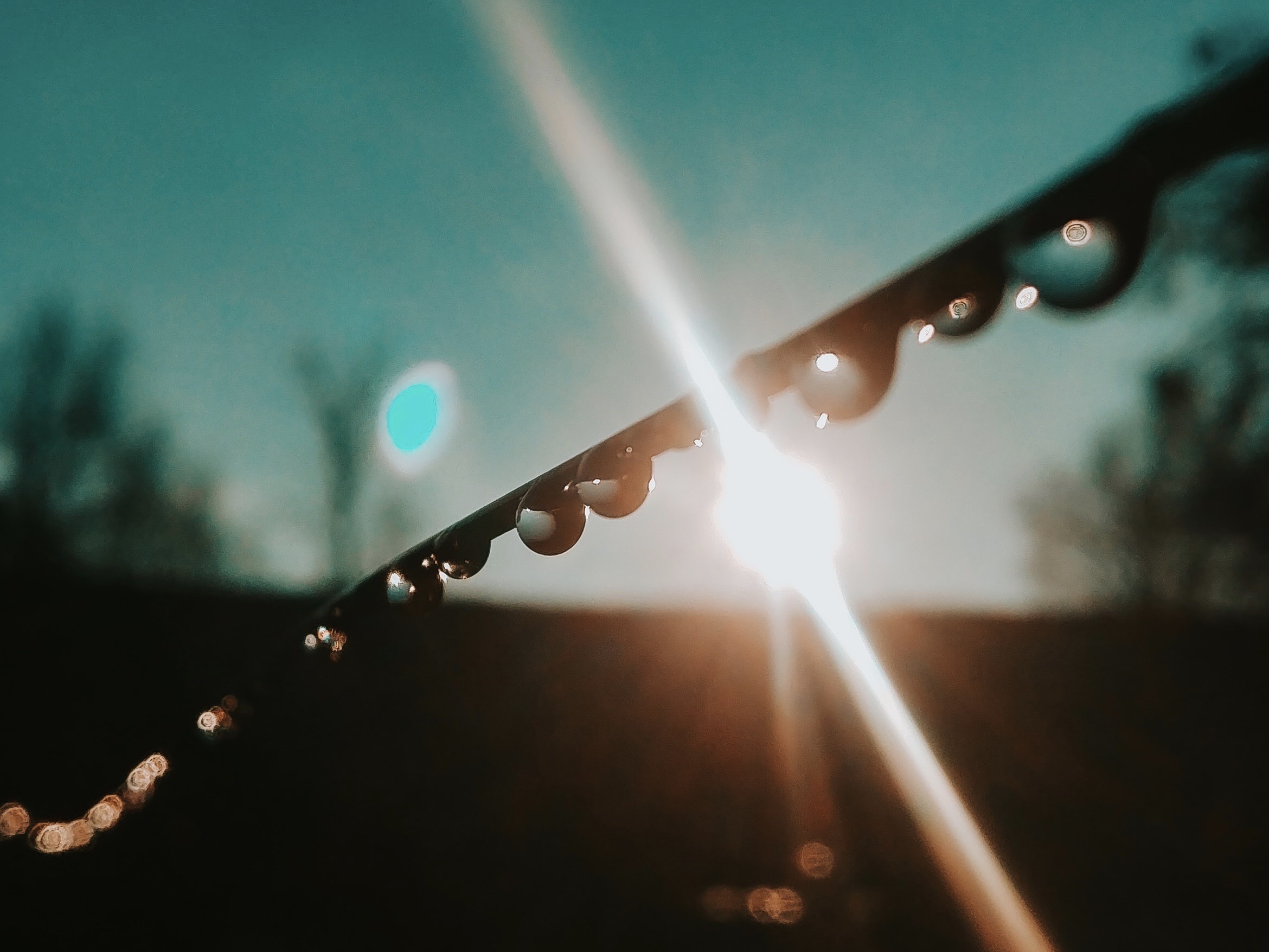 drops of water in sunlight, on a wire.