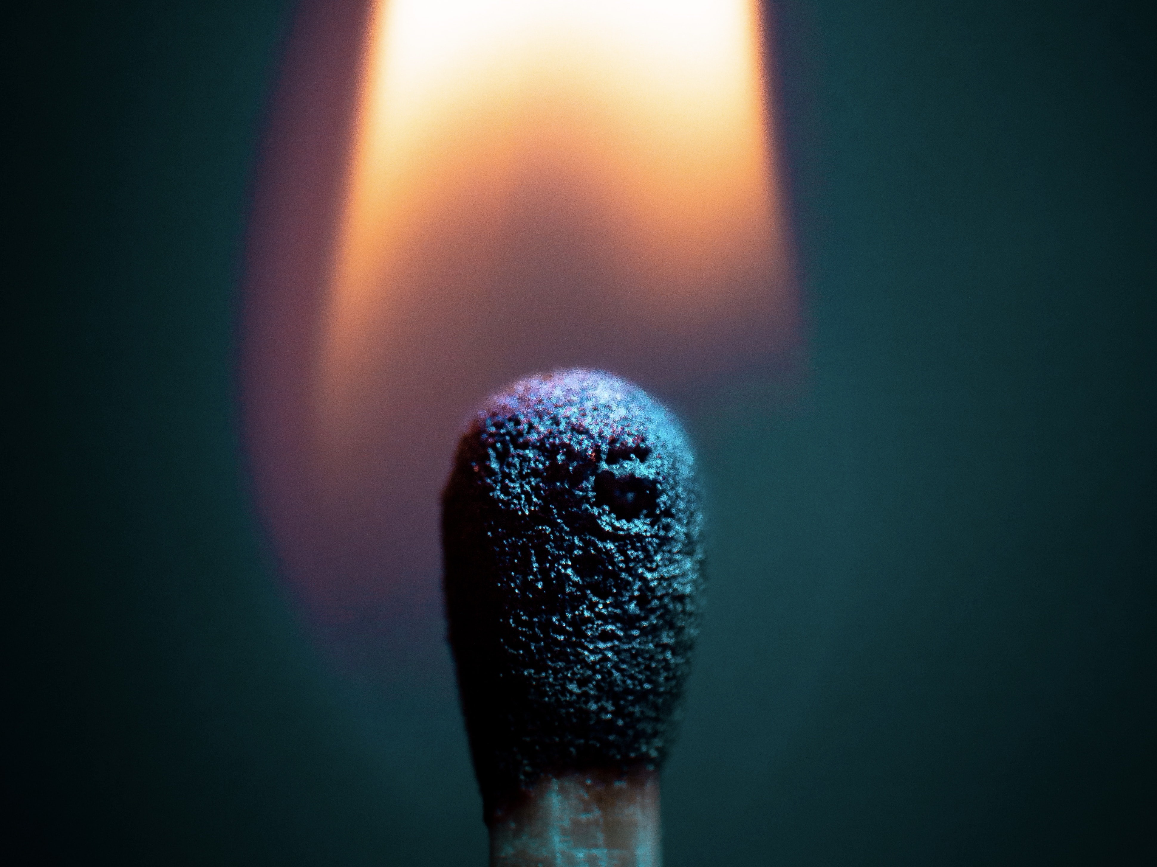 A lit match, close up.